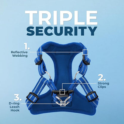Best Pet Supplies Voyager Adjustable Step-in Flex Breathable Mesh Dog Harness for Small Medium Large Dogs Leash Set (Royal Blue), L