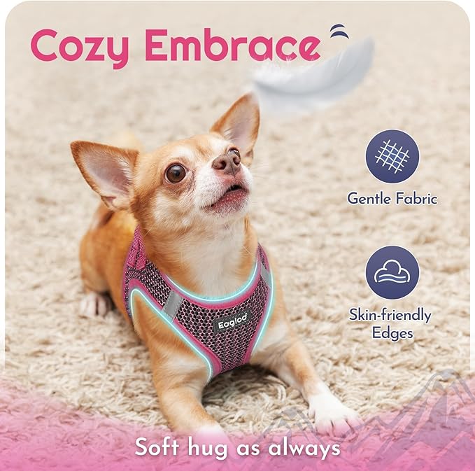 Eagloo Small Dog Harness and Leash Set, Step in Puppy Vest with Breathable Soft Mesh, Walking Reflective Pet Harness for Extra Small Dogs, Rose Red, XXS