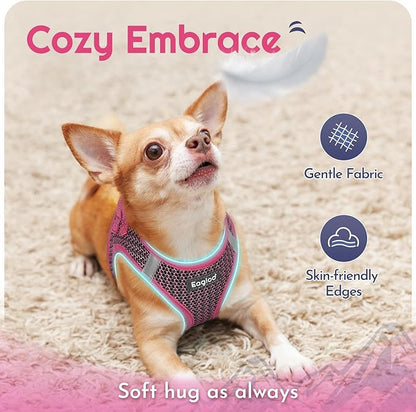 Eagloo Small Dog Harness and Leash Set, Step in Puppy Vest with Breathable Soft Mesh, Walking Reflective Pet Harness for Extra Small Dogs, Rose Red, XXS