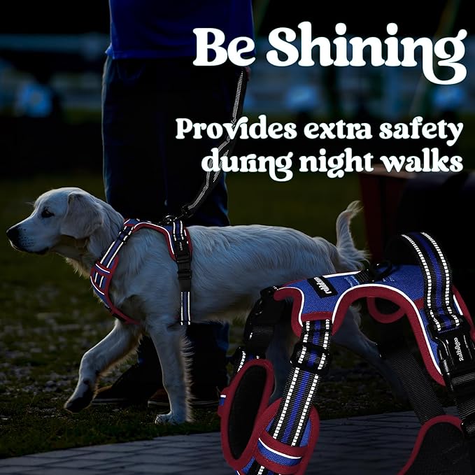 rabbitgoo Dog Harness for Large, No Pull Pet Harness with 3 Buckles, Adjustable Soft Padded Vest with Control Handle, Walking Reflective Pet Vest for Large Dogs, Royal Blue & Red, L