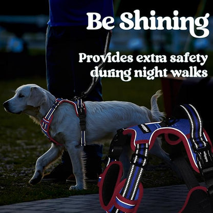 rabbitgoo Dog Harness for Large, No Pull Pet Harness with 3 Buckles, Adjustable Soft Padded Vest with Control Handle, Walking Reflective Pet Vest for Large Dogs, Royal Blue & Red, L