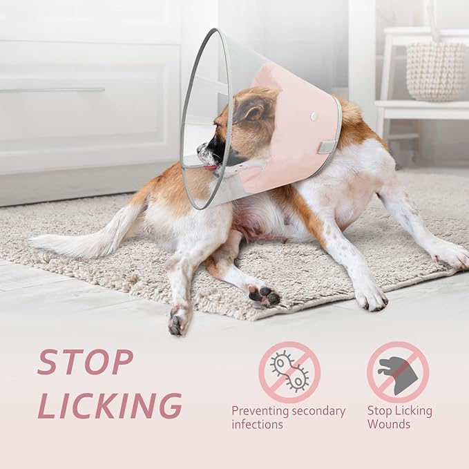 Dog Cone Collar with Snap-on Detachable Soft Liner, Lightweight Transparent Elizabethan Alternative to Stop Licking, for Spay Neuter Surgery Recovery, for Medium Large Small Dogs (Pink,M)