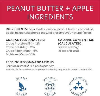 Body and Soul Peanut Butter + Apple Crunchy Premium Health Training Dog Treat Superfood Oven Baked Biscuits Oats, Barley & Quinoa – Clean Natural Plant Protein, No Additives No Filler Made in USA 10oz
