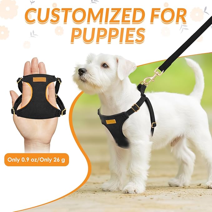 SlowTon Dog Harness Small Sized Dog - Soft XXS Dog Harness and Leash Set No Pull No Chock, Adjustable Lightweight Puppy Harness for XS Small Medium Dogs Cats (Solid Black, XXS)