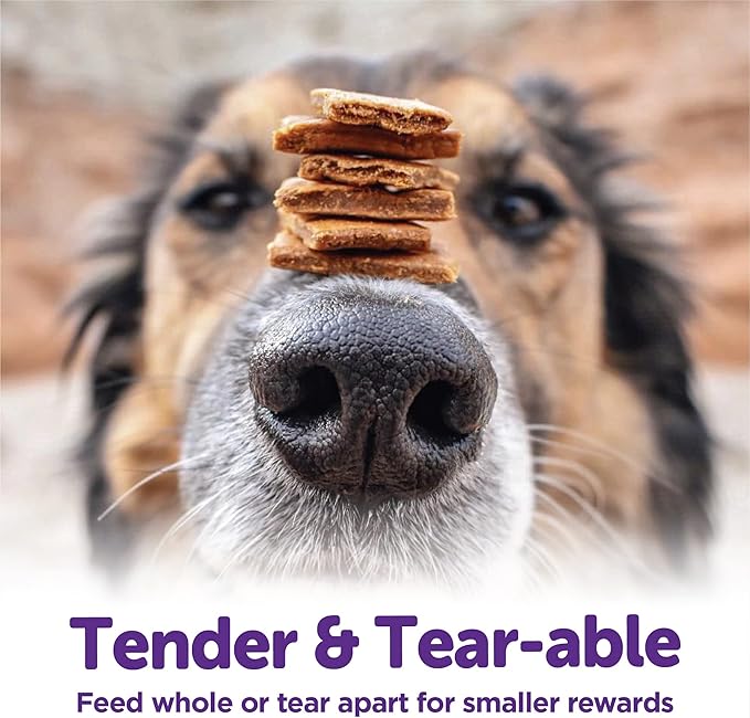 Wellness Rewarding Life Dog Treats, Training Treat, Grain Free, Soft Chicken & Venison (6 Ounce Bag) (Pack of 2)