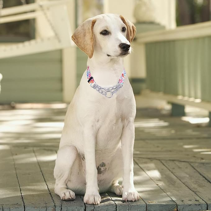 Martingale Dog Collar with Stainless Steel Chain - Limited Chain Cinch Training Collar for No Pull Training Dog - Flower Multicolor Cute Patterns - Premium No Slip Collar (XL, White)