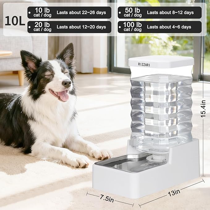 RIZZARI Stainless Steel Pet Water Feeder: 10L Gravity Waterer with Filter - Splash-Resistant - Dust-Resistant Lid -Easy to Clean - No Power Needed - for Cats & Dogs - Crate Area/Kitchen Corner