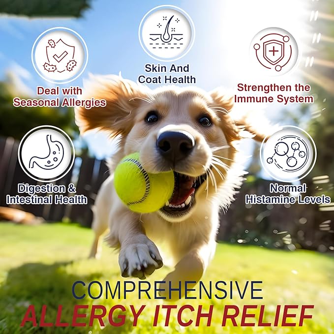 Allergy Relief Chews for Dogs 200 Treats Dog Seasonal Allergy and Immune Bites Dog Itching Skin Anti Itch Licking Paws Treatment Itchy Skin Relief Allergies Support Probiotic Chew Supplement for Dogs