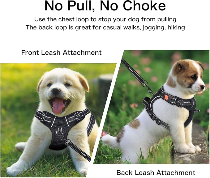 Petmolico Medium Dog Harness and Leash Set, No Choke 4 Leash Attachments Easy Control Handle Soft Padded Reflective Vest for Medium Dogs, Black