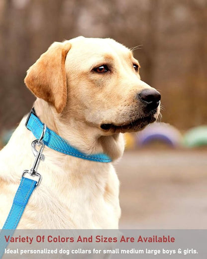 Reflective Dog Collar with Buckle Adjustable Safety Nylon Collars for Small Medium Large Dogs, Blue S
