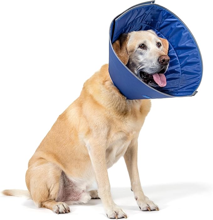 Calm Paws Dog Caring Collar W/Calming (XLarge)