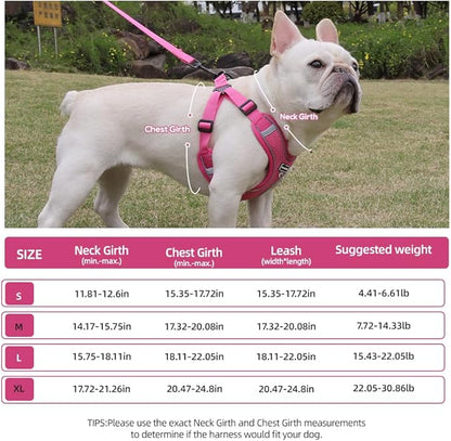 Dog Harness and Leash Set, Adjustable Triangle, Reflective Adjustable Puppy Vest, No Pull Soft Mesh Harness for Small, Medium Dogs, Cats (Fuchsia, XL)