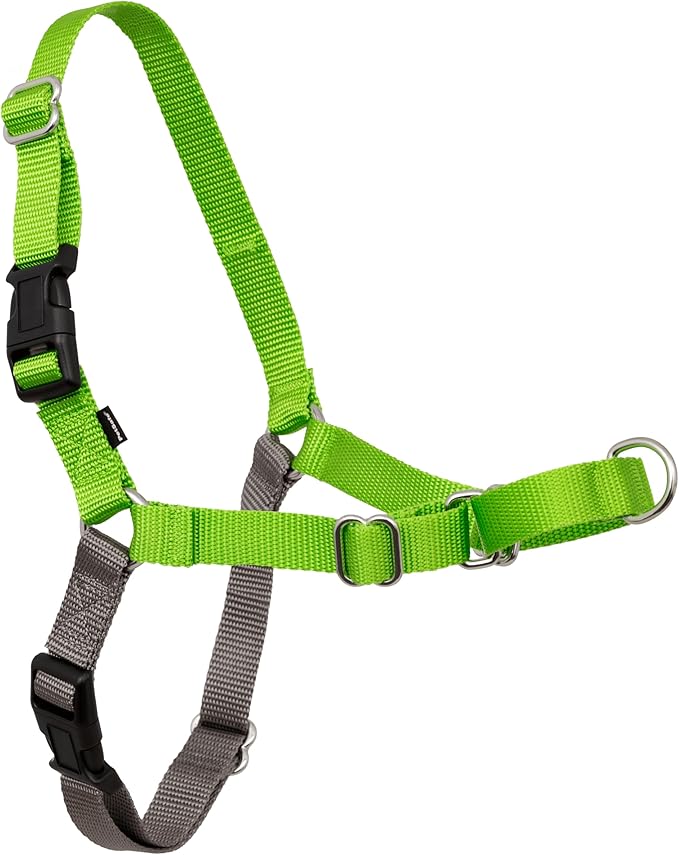 PetSafe Easy Walk Harness for Dogs - Pull-Free Walks - Patented Martingale Loop Design - Front Chest Leash Attachment - Comfort Straps - Breathable Harness Design - Small/Medium, Apple Green/Gray
