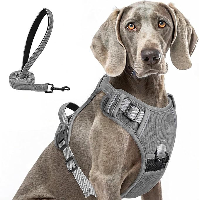 BEAUTYZOO No Pull Dog Harness Large, Adjustable Dog Harness and Leash Set -Easy Wearing with 3 Buckles/Control Handle,No Choke Soft Padded Reflective Pet Vest for Training Walking Hiking,Grey XL