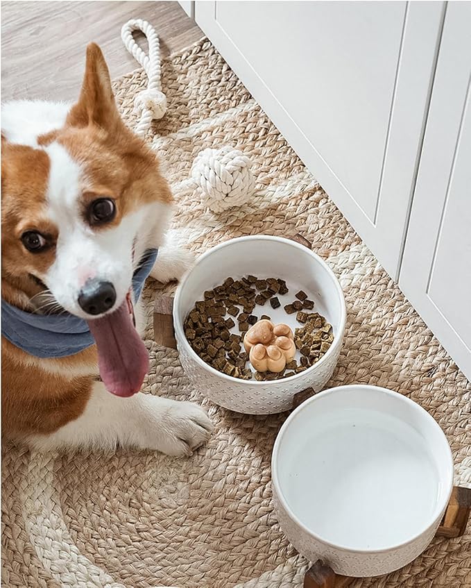 LE TAUCI Dog Bowl Set with Acacia Wood Stand - 1.5-Cup Ceramic Puppy Bowls for Small Dogs, Dual Food and Water Bowls with Weighted Non-Slip Base