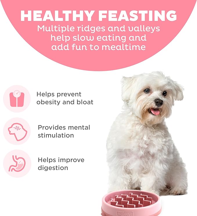 Outward Hound Fun Feeder Slo Bowl – Small 3/4-Cup Capacity, Slow Feeding, Small Dogs, Puppies & Cats, Non-Slip, Pink, Wave Pattern