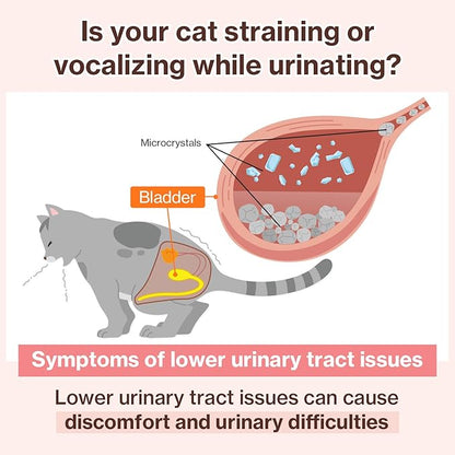 Doctor By UT Care Cat UTI Kidney Support Urinary Supplement Cranberry Treatment for Cats Renal Health with Pacran, Quercetin, Taurine lickable Formula Individually Packaged (1 Pack)