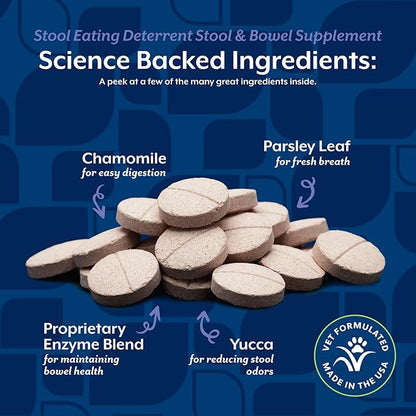 NaturVet – Coprophagia Stool Eating Deterrent Plus Breath Aid | Deters Dogs from Consuming Stool | Enhanced with Breath Freshener, Enzymes & Probiotics | 60 Chewable Tablets