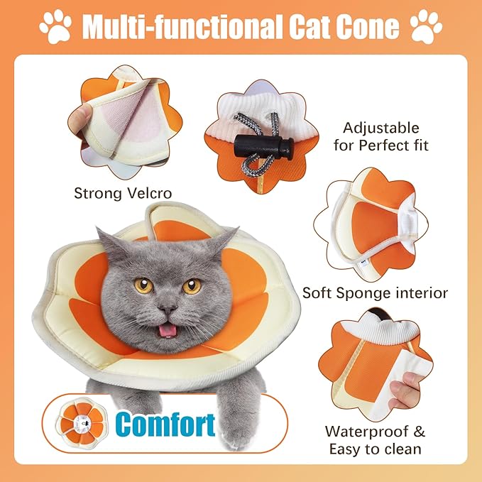 Cat Cone Collar Soft, Comfortable E Collar for Cats After Surgery, Recovery Elizabethan Collar for Cats Kitten to Stop Licking, Orange M