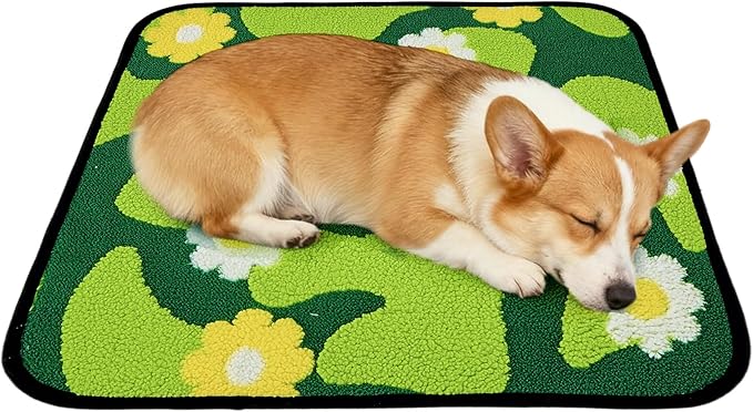 Qeils Reusable Puppy Pads for Small Dogs, Washable Pee Pads with Non-Slip , Absorbent Leakproof Mat for Crates, Playpens, Pet Beds & Whelping, Indoor Potty Training Grass Green, 22"x22", 2 Pack