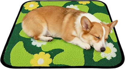 Qeils Reusable Puppy Pads for Small Dogs, Washable Pee Pads with Non-Slip , Absorbent Leakproof Mat for Crates, Playpens, Pet Beds & Whelping, Indoor Potty Training Grass Green, 22"x22", 2 Pack