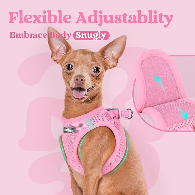 rabbitgoo Small Dog Harness, Step-in Soft Mesh Puppy Vest with Safety Buckle, Breathable Reflective Pet Harness for Small Sized Dogs, Light Pink XS