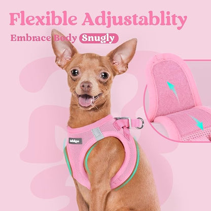 rabbitgoo Small Dog Harness, Step-in Soft Mesh Puppy Vest with Safety Buckle, Breathable Reflective Pet Harness for Small Sized Dogs, Light Pink XS