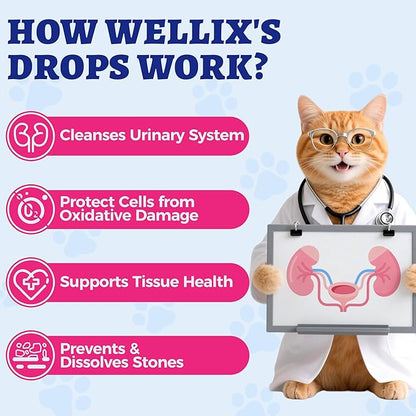 4oz Wellix Natural Cat & Dog UTI Treatment Drops,Cat & Dog Urinary Tract Infection Treatment - Cranberry & D-Mannose for Dogs & Cats - Kidney Health Supplement