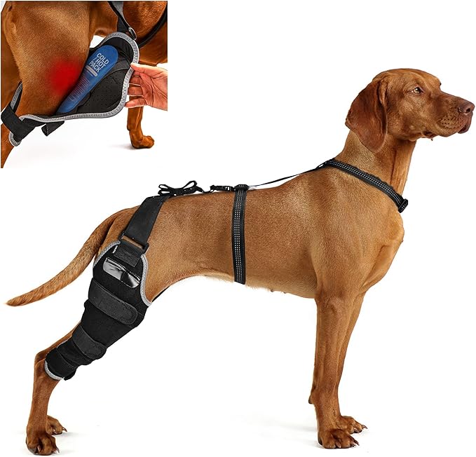 Dog ACL Knee Brace for Rear Leg – Adjustable Back Leg Support with Hot/Cold Gel Pack for Cruciate Ligament Rehab, Joint Pain & Swelling Relief – Reflective, Right Leg, Size XL