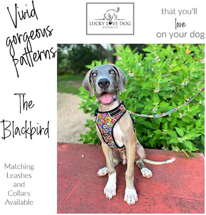 Lucky Love Dog No Pull Dog Harness, Adjustable and Easy to Walk, Cute Patterned Harness for Small Male & Female Dogs - Blackbird, XS