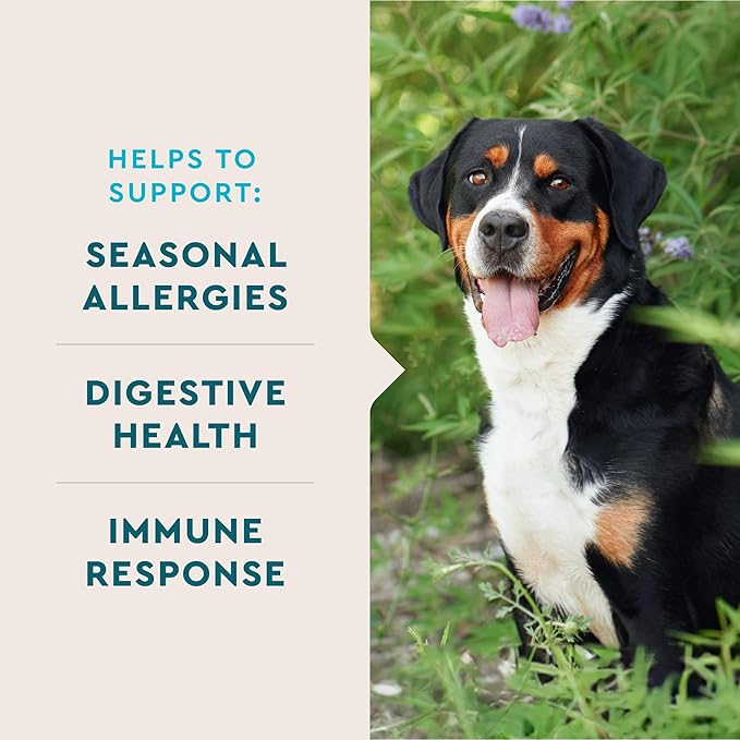 VetIQ Allergy Pro+ Soft Chews for Dogs, Dog Allergy Chews, Seasonal Support, Colostrum, Astragalus Root, Sporevia, Hickory Smoke Flavor, 60 Count
