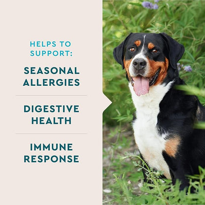 VetIQ Allergy Pro+ Soft Chews for Dogs, 60 Count, Seasonal Allergy Support, Colostrum, Astragalus Root, Sporevia, Hickory Smoke Flavor (Pack of 2)