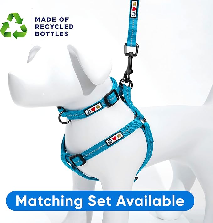 Pawtitas Recycled Reflective Step-in Dog Harness – Adjustable No-Pull Vest for Puppies to Seniors, Safe & Comfortable L Teal