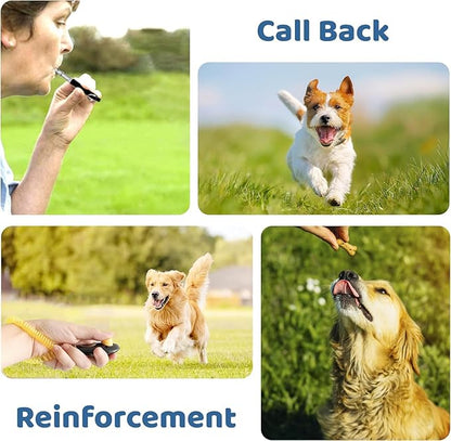 Dog Training Kit,Dog Whistle to Stop Barking Neighbors Dog,Dog Clicker for Training,Adjustable Ultrasonic Silent Dog Whistle(Black).