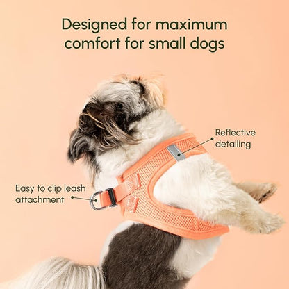 Downtown Pet Supply Step in Dog Harness for Large Dogs - Adjustable, Escape Proof Dog Harness with Reflective Trim - All-Weather, Fast-Drying Padded Mesh Fabric - Tangerine, X-Small