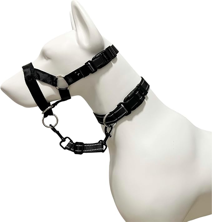 Dog Collar Safety Clip, Reflective Double-Ended Backup Connector for Harness to Collar, Adjustable Safety Clip for Prong, Pinch Collars, Prevents Escapes & Accidental Disconnection