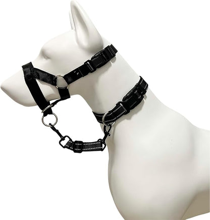 Dog Collar Safety Clip, Reflective Double-Ended Backup Connector for Harness to Collar, Adjustable Safety Clip for Prong, Pinch Collars, Prevents Escapes & Accidental Disconnection