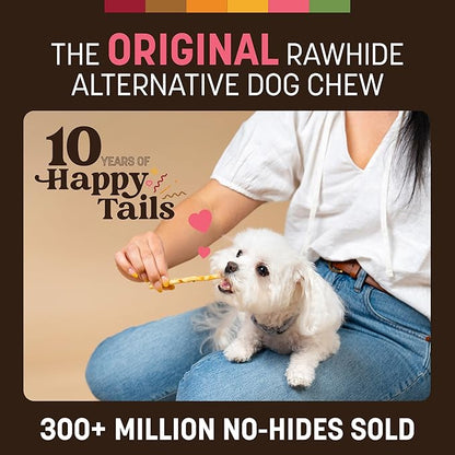 Earth Animal No Hide Stix - Long Lasting Rawhide Free Small Dog Chews Sticks, Salmon - 80 Count Extra Value Pack