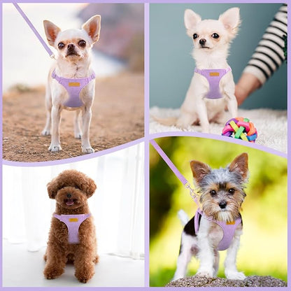 SlowTon Dog Harness Small Sized Dog - Soft XXS Dog Harness and Leash Set No Pull No Chock, Adjustable Lightweight Puppy Harness for XS Small Medium Dogs Cats (Solid Purple, XS)