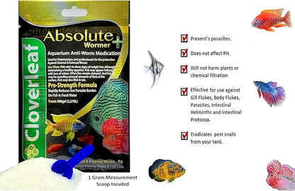 Absolute Wormer Plus (5g) Fish wormer Powder, Rapidly Reduces Gut Parasite Burden. Aquarium Anti-wormer. Effective Against flukes, Worms, parasites, and Fish lice. Internal and External parasites