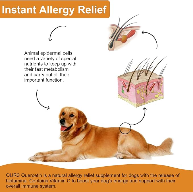 Quercetin for Dogs, Dog Quercetin Liquid Drops, Dog Herbal Supplement Support Allergy Relief, Cellular Health, Immune Boost, Antioxidant 60 ml-2pcs