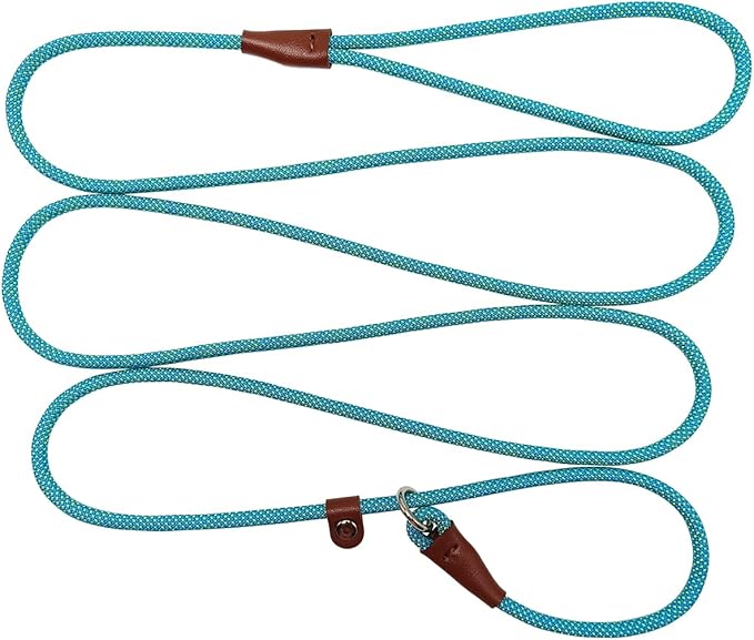 BTINESFUL 7FT Slip Lead Dog Leash, 14+ Colors Nylon Rope Leash, 1/4 Diam Dog Training Lead for Small Medium Dogs (1/4" * 7 FT, Green Dot)