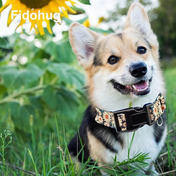 Martingale Collar for Dogs Flower Dog Collar with Quick Release Buckle Adjustable Nylon Soft Dog Collars for Small Dogs, Daisy