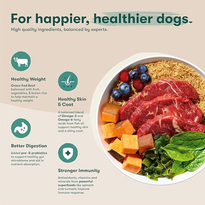 Jinx Premium Dry Dog Food Bundle - Salmon Kibble & Beef Kibble - 4lbs Each