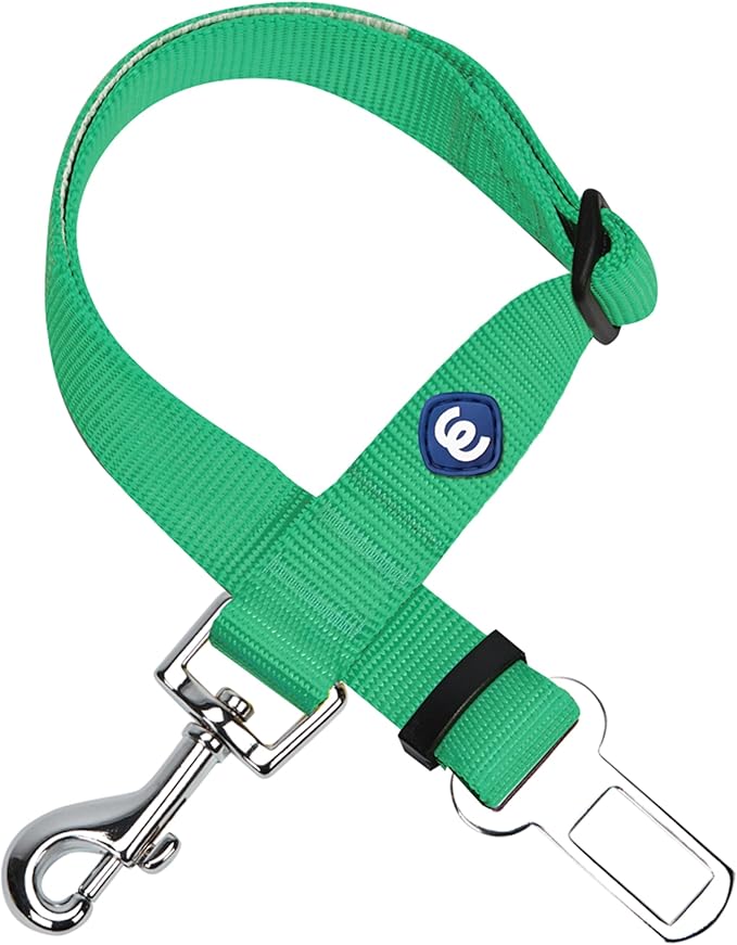 Blueberry Pet Dog Leash - Puppy Essentials for Dog Lovers, Emerald Safety Tether for Road Trips, Heavy Duty Dog Leashes for Large Dogs, Must-Have for Safety-Conscious Pet Parents