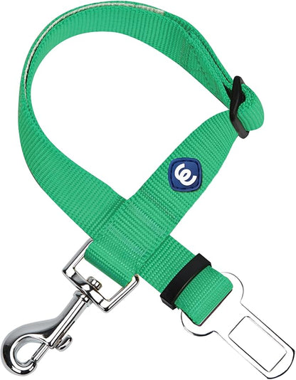 Blueberry Pet Dog Leash - Puppy Essentials for Dog Lovers, Emerald Safety Tether for Road Trips, Heavy Duty Dog Leashes for Large Dogs, Must-Have for Safety-Conscious Pet Parents