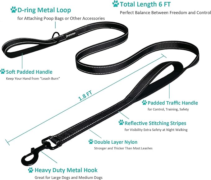 Heavy Duty Dog Leash - 2 Handles by Padded Traffic Handle for Extra Control, 6foot Long - Perfect for Medium to Large Dogs (Purple, 6 ft)