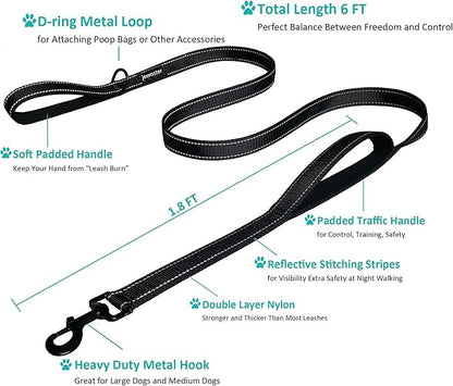 Heavy Duty Dog Leash - 2 Handles by Padded Traffic Handle for Extra Control, 6foot Long - Perfect for Medium to Large Dogs (Purple, 6 ft)