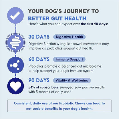 MARIMER Probiotic Chews for Dogs – 6 Billion CFU Probiotics with Enzymes, Organic Pumpkin & Inulin – Digestive & Immune Support Soft Chews – Chicken Flavor – 100 Count – for Dogs