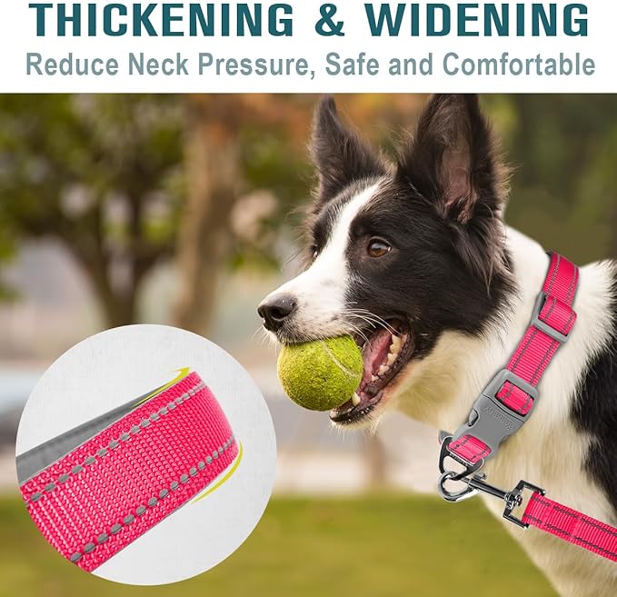 Dog Collar for Medium Small Large Dogs Reflective with Leash,Collar and Leash for Dogs,Soft Neoprene Padded 2 Pack(Pink,XS)